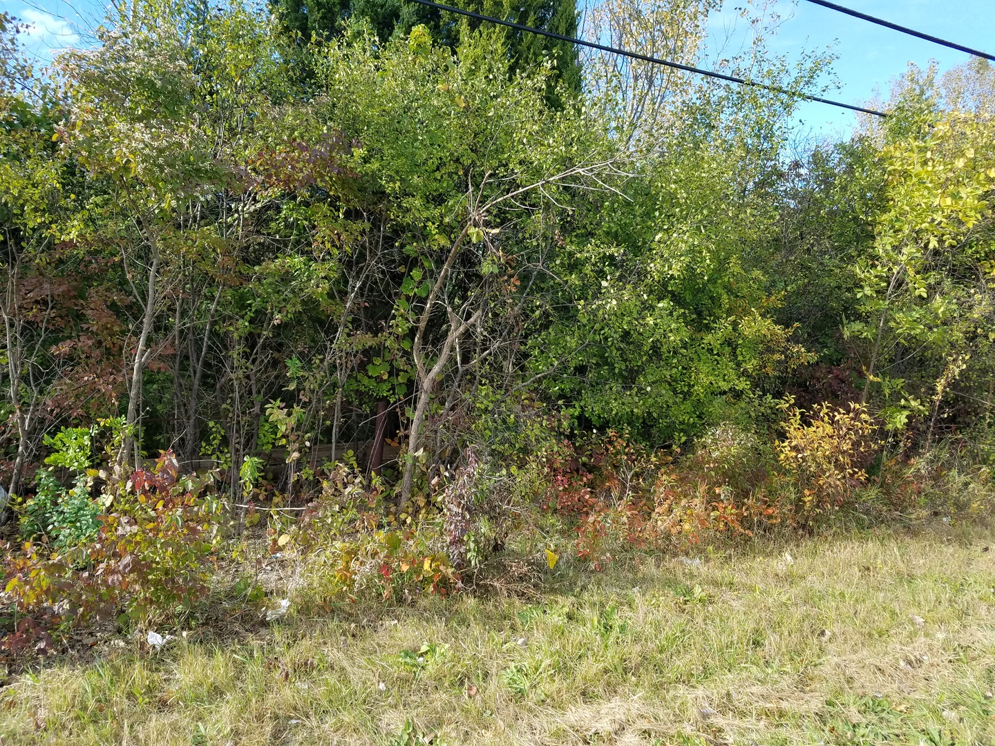 0 State Street, Lockport, IL 60441