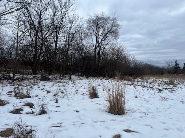 1-11 ALMA Avenue, Lombard, IL 60148