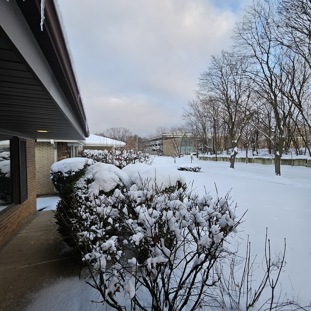 1406 Peterson Avenue, Park Ridge, IL 60068