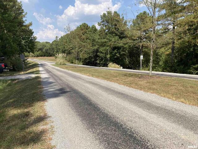 Lot 148 and Lot 501 Parrish Ridge Lane, Goreville, IL 62939