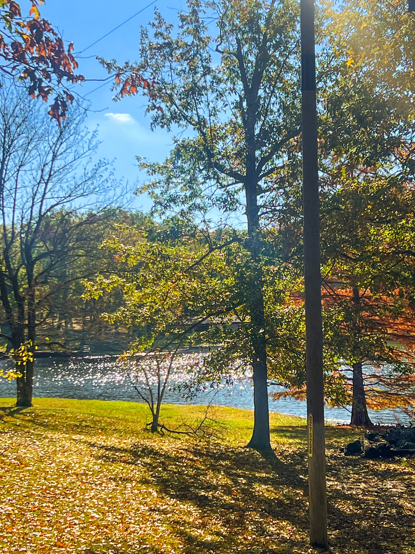 381 County Road 100 E Lot 14, Norris City, IL 62869