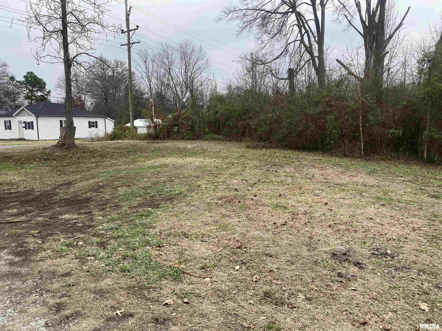 205 Stuyvesant Street, Benton, IL 62812