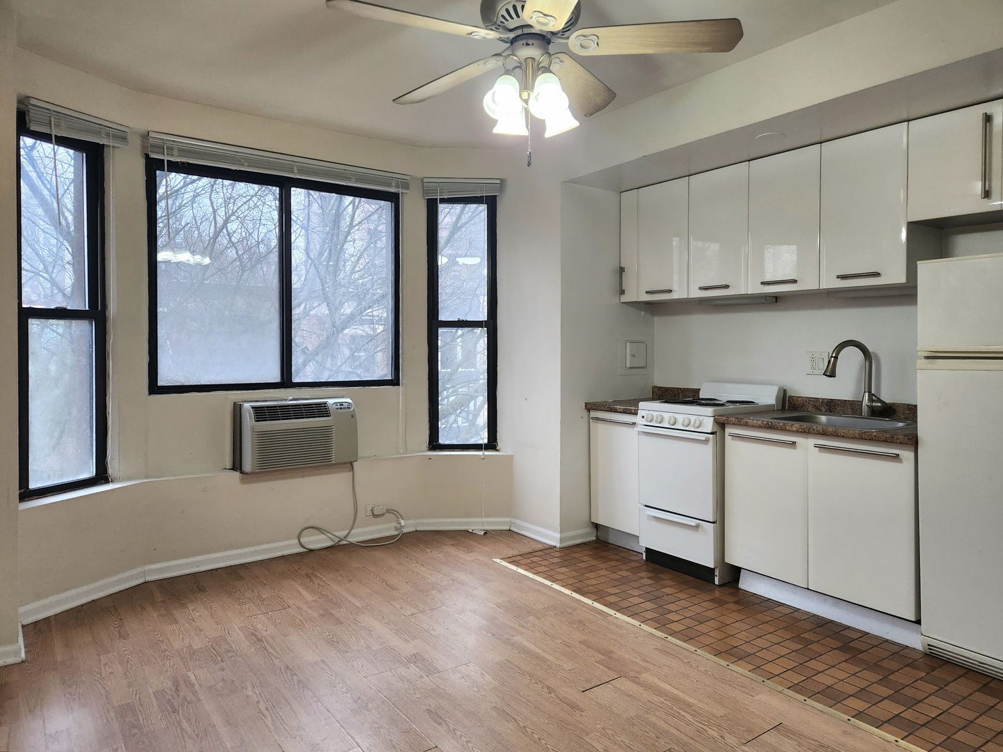 1430 Dearborn Parkway, Chicago, IL 60610