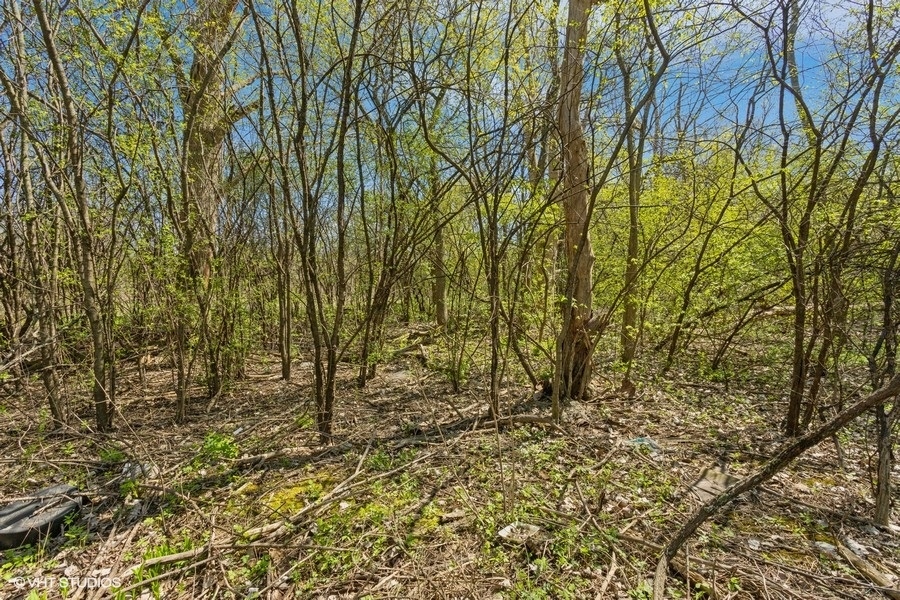 1630 Myrtle  Park Street, Roselle, IL 60172