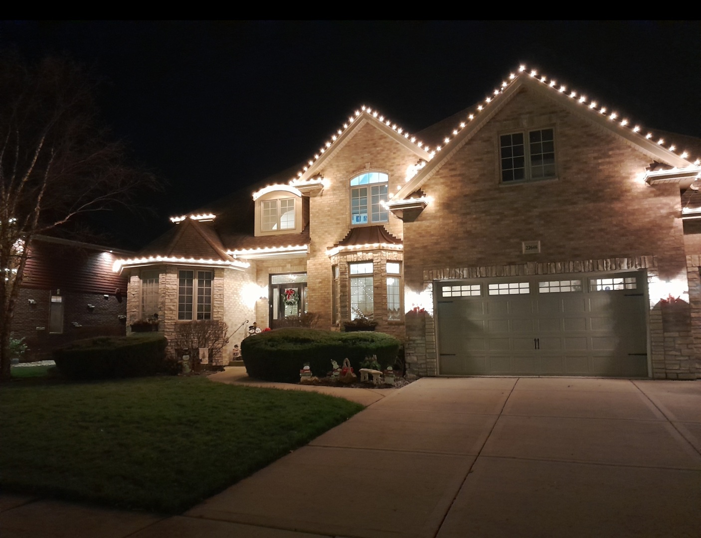 22646 Lilly Pad Lane, Frankfort, IL 60423