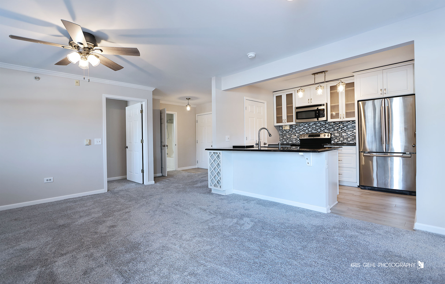 1508 Spring Brook Court, Round Lake Beach, IL 60073