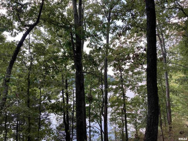 Lot 148 and Lot 501 Parrish Ridge Lane, Goreville, IL 62939