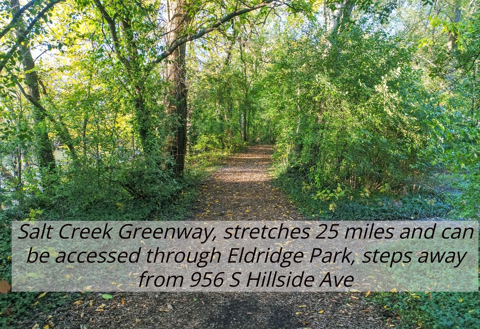 956 Hillside Avenue, Elmhurst, IL 60126