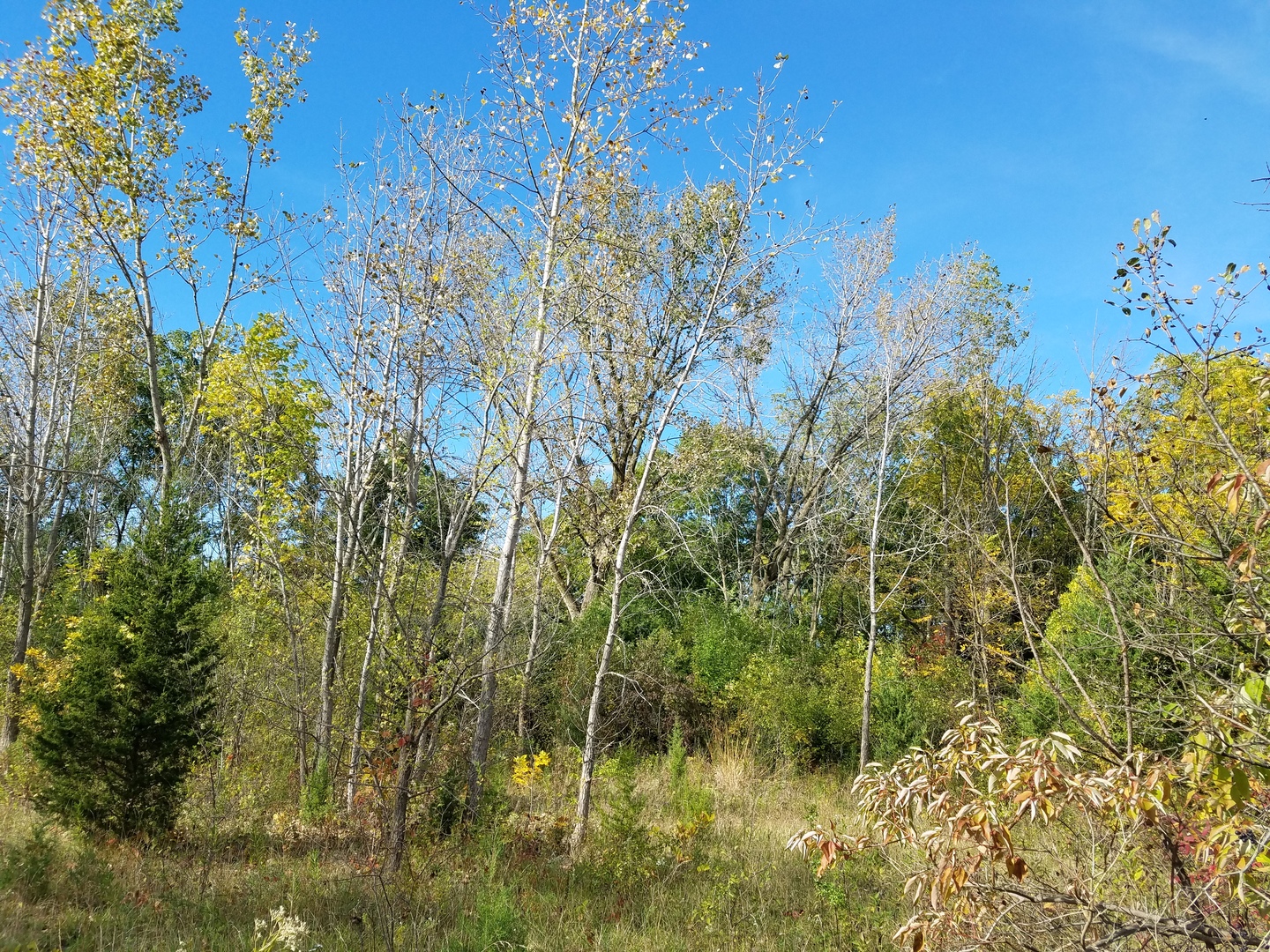 0 State Street, Lockport, IL 60441