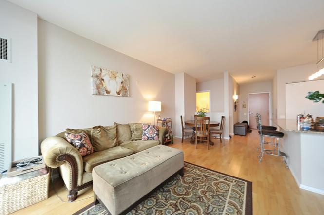 210 Des Plaines Street, Chicago, IL 60661