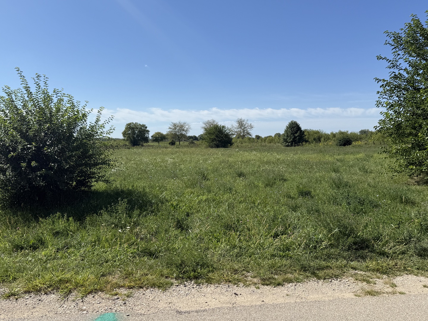 3355 Country Club Lane, Morris, IL 60450