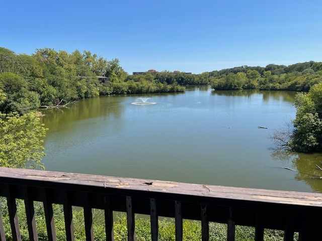 1601 Maple Terrace, Lisle, IL 60532