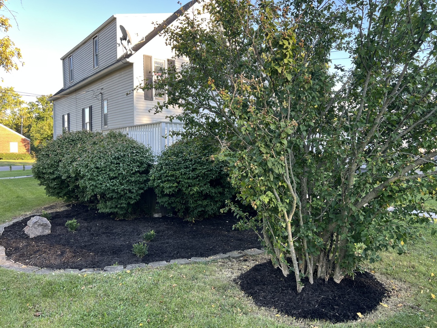 3002 Green Street, Steger, IL 60475