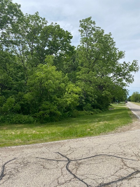 Lot 60 & 61 Beverly Way, Spring Grove, IL 60081