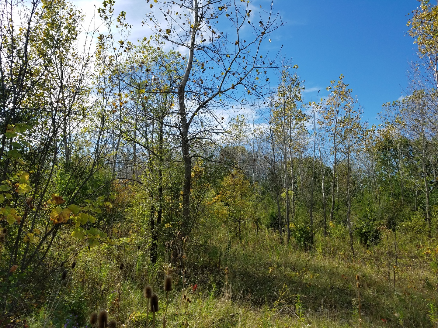 0 State Street, Lockport, IL 60441