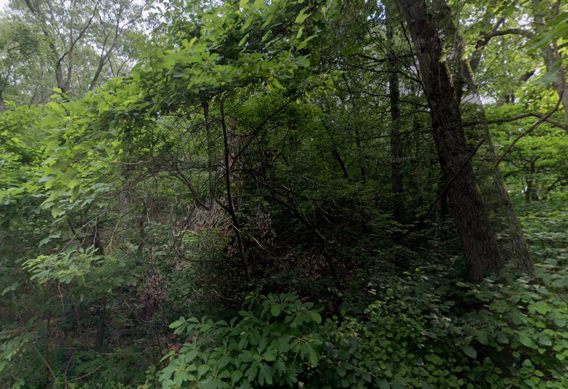 0 Pleasant Avenue, Beverly Shores, IN 46301