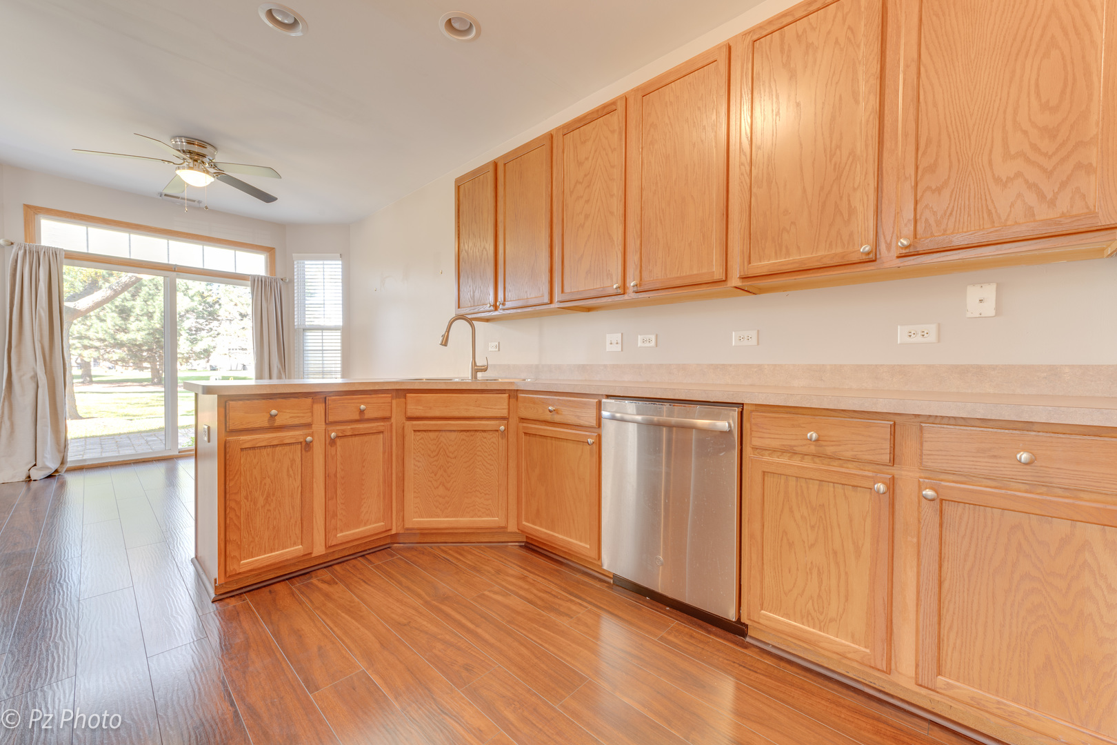 24343 Leski Lane, Plainfield, IL 60585