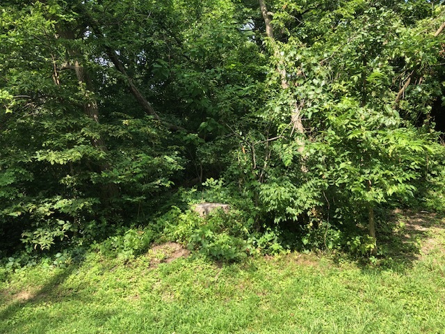 35403 2nd Avenue, Ingleside, IL 60041