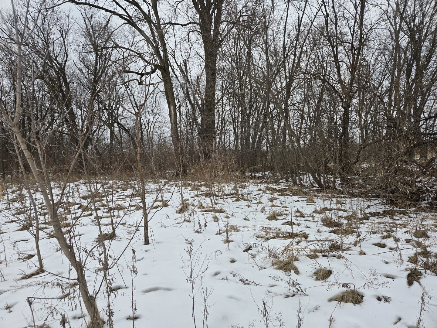 18010 Il Route 176, Union, IL 60180