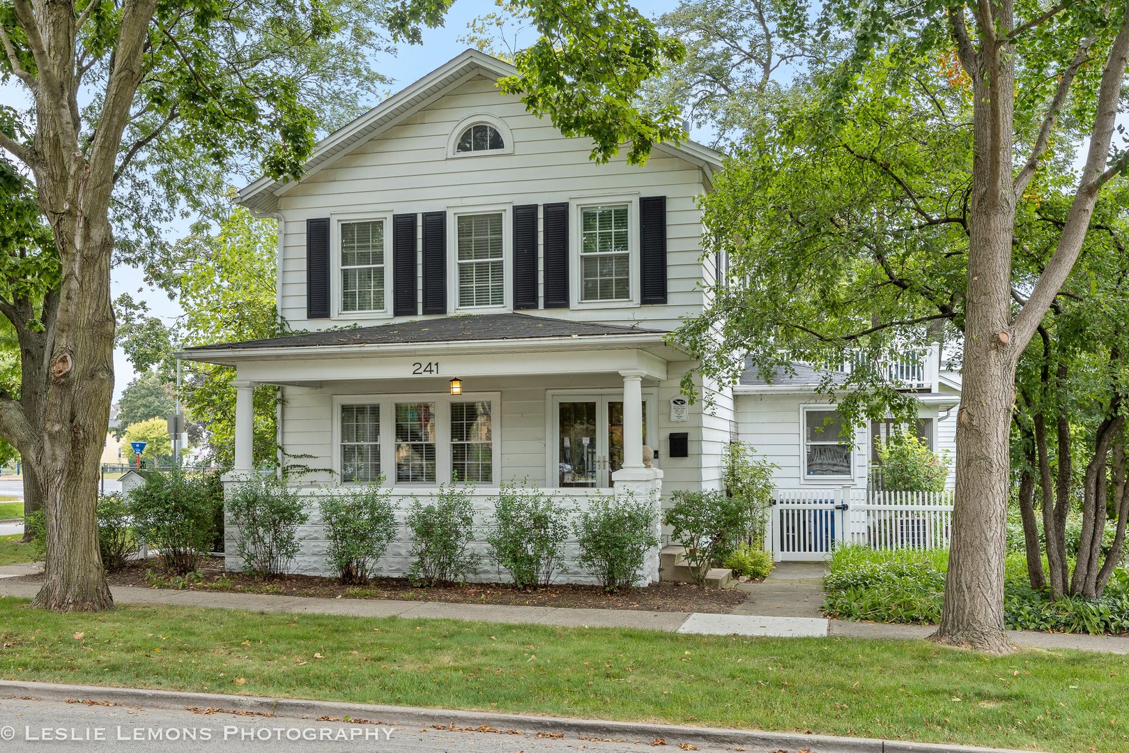 241 Van Buren Avenue, Naperville, IL 60540