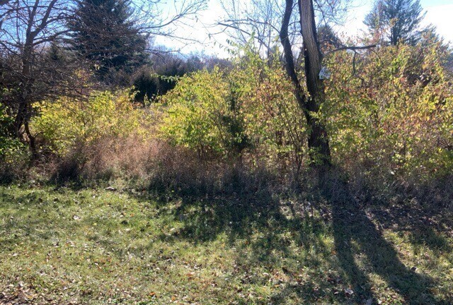 602 Cottonwood Court, Dixon, IL 61021